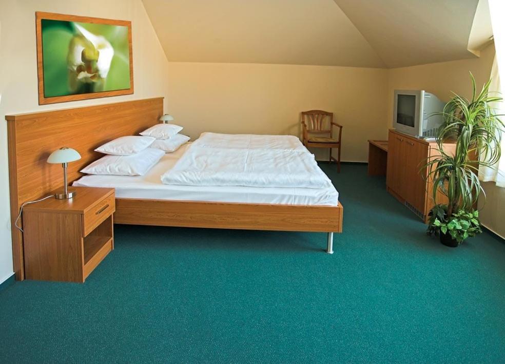Promedicum Panzio Otel Veszprém Oda fotoğraf
