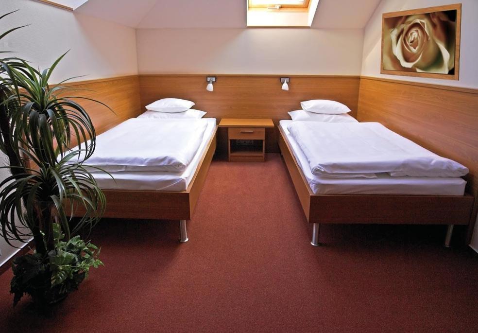 Promedicum Panzio Otel Veszprém Oda fotoğraf